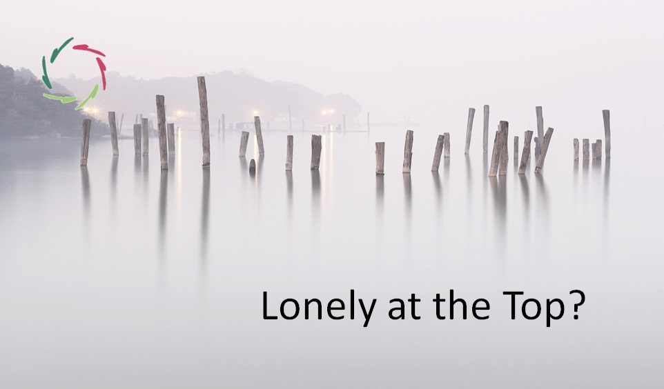 Lonely at Top? - AURELIS