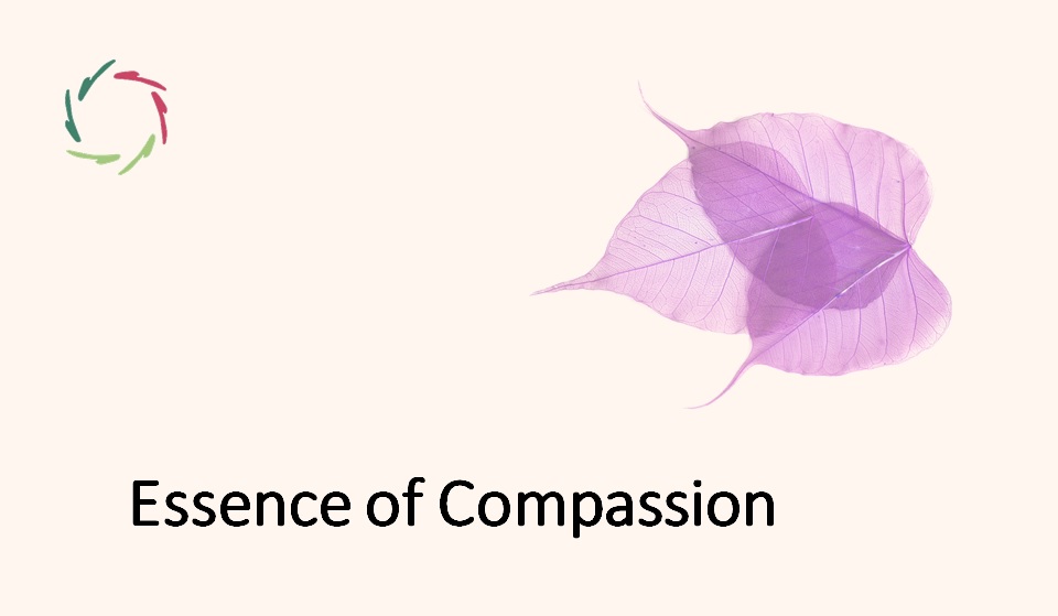 Compassion towards Happiness - AURELIS blog-wiki