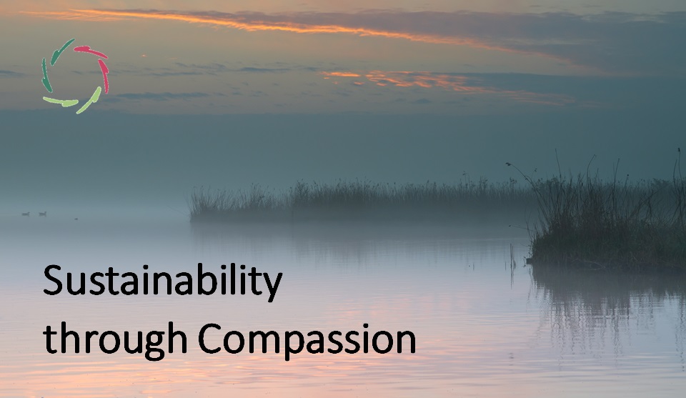 Compassion towards Happiness - AURELIS blog-wiki